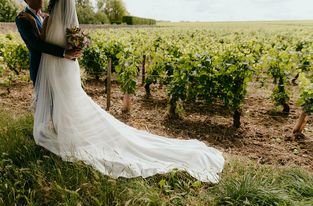 vigne, couple, mariée, amoureux,