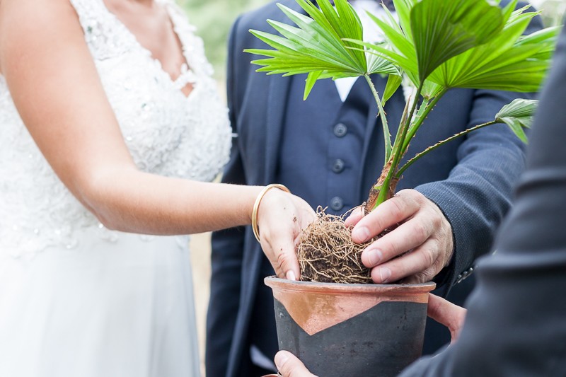 rituel de l'arbre