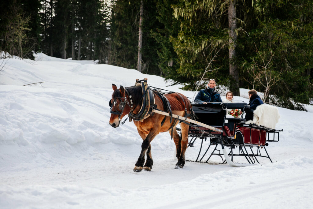 Véhicule, calèche, cheval, romantisme, rêve, wedding, wedding planner