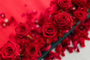 rose rouge, décoration évènementielle, demande en mariage, tapis rouge,  