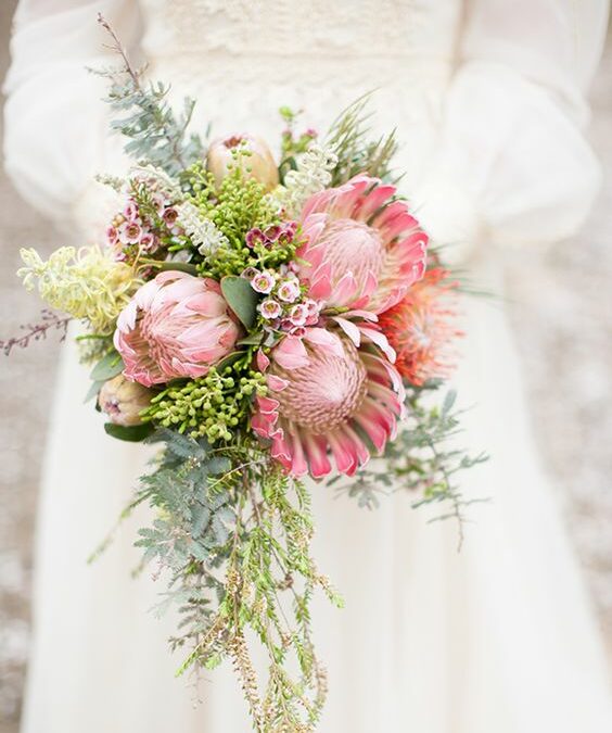 protea en bouquet, bouquet, fleurs, bouquet de mariée, cascade