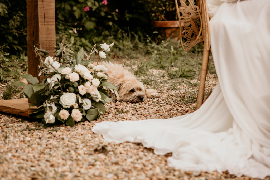 bouquet de mariée, chien, robe mariée, cérémonie laïque