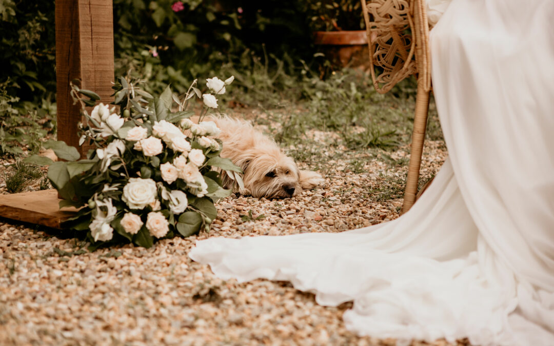 bouquet de mariée, chien, robe mariée, cérémonie laïque