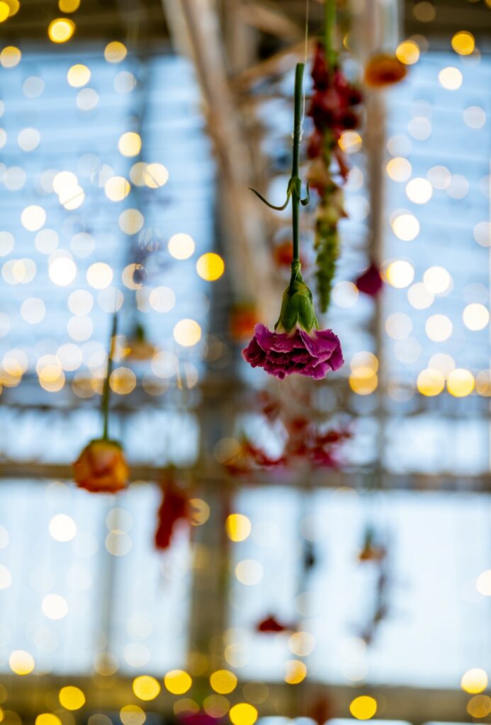 fleurs suspendues, fleurs, ciel de fleurs, cube lumineux, guirlande, ciel étoilé, décoration