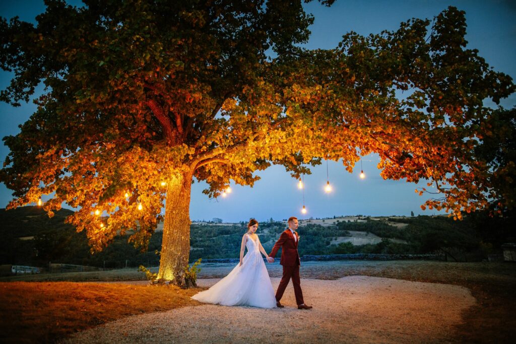 mariés sous un arbre avec des lumières