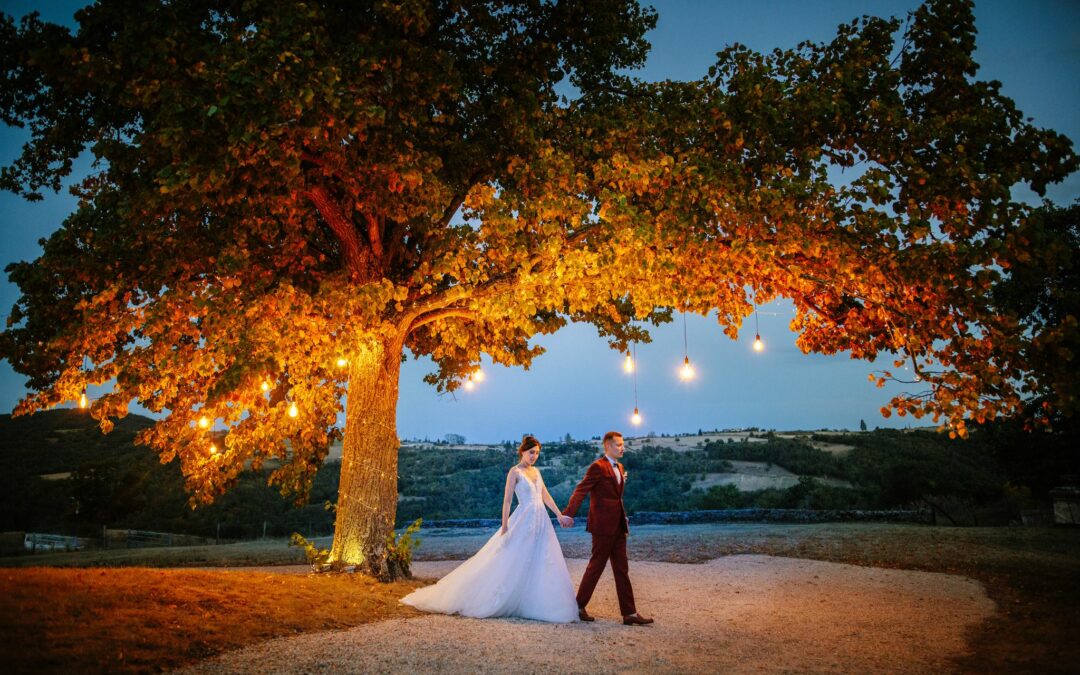 mariés sous un arbre avec des lumières