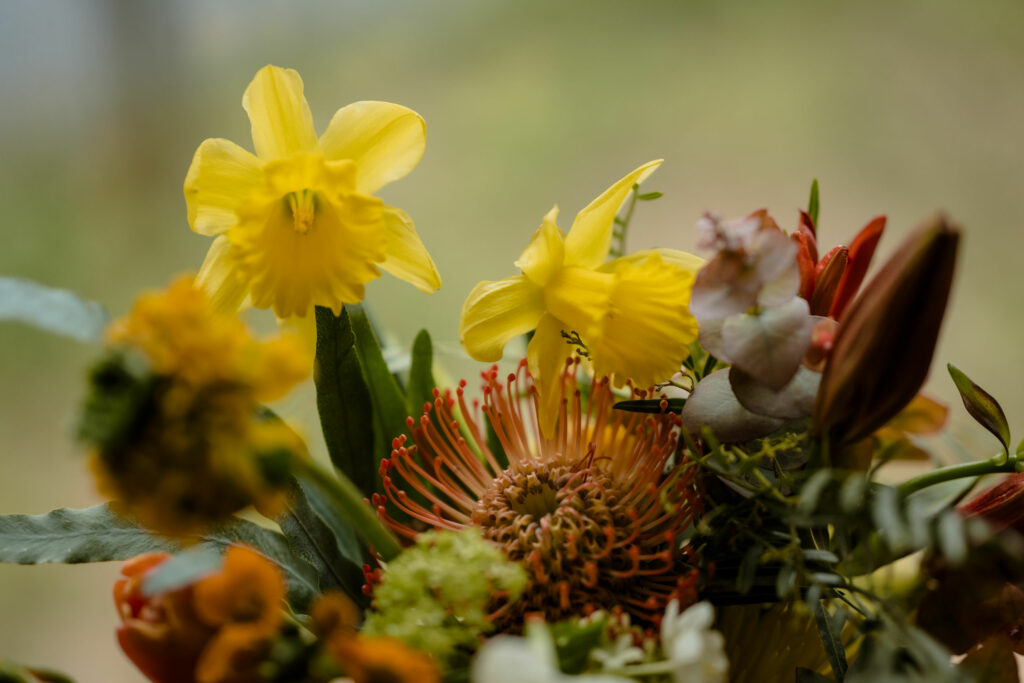 bouquet automne lumineux Landes
